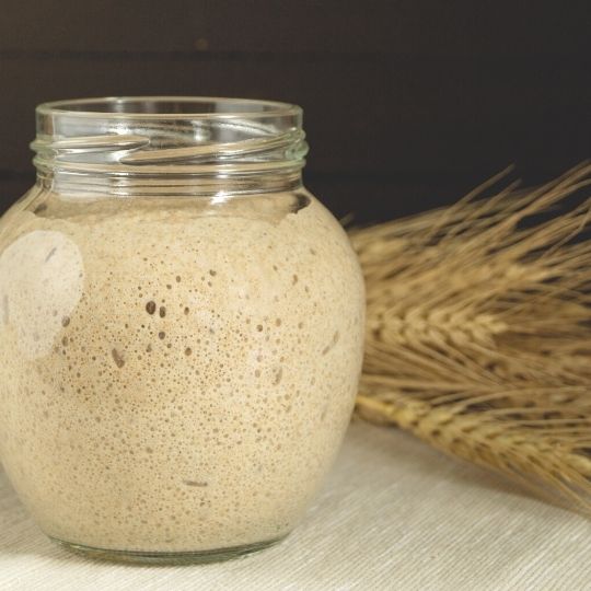 sourdough starter in jar